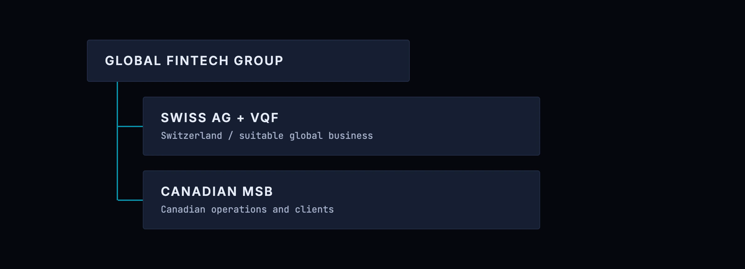 Swiss VQF vs Canada MSB inside one group: a global fintech group holding both a Swiss AG with VQF affiliation for Switzerland and suitable global business, and a Canadian MSB for Canadian operations and clients