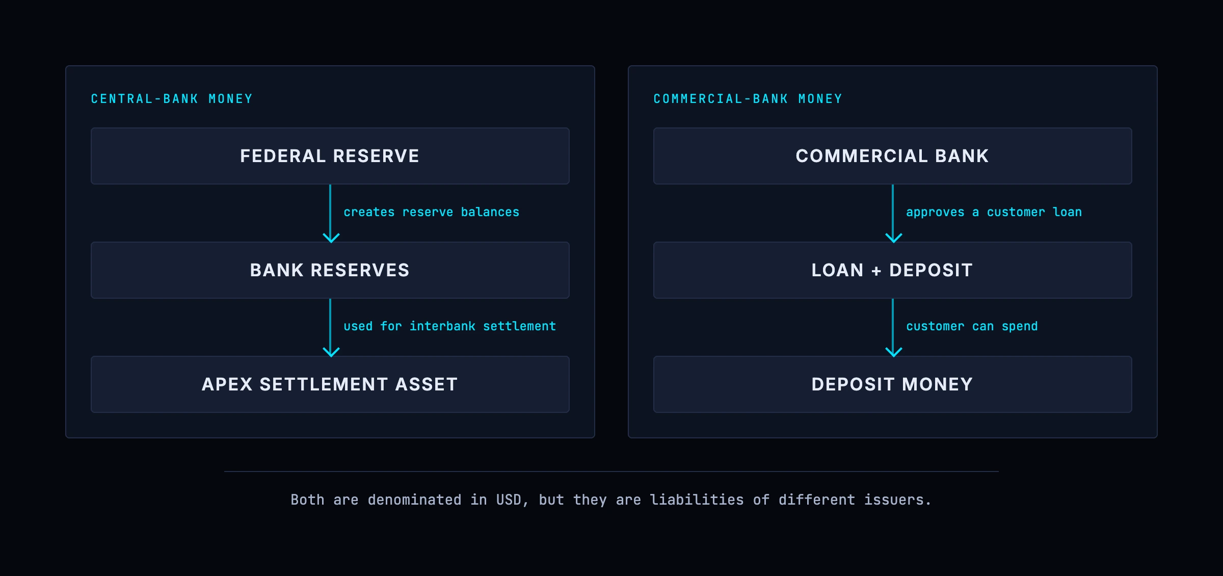 Two issuers of dollars side by side: the Federal Reserve creating reserve balances for banks, and a commercial bank creating deposit money for a customer when it lends