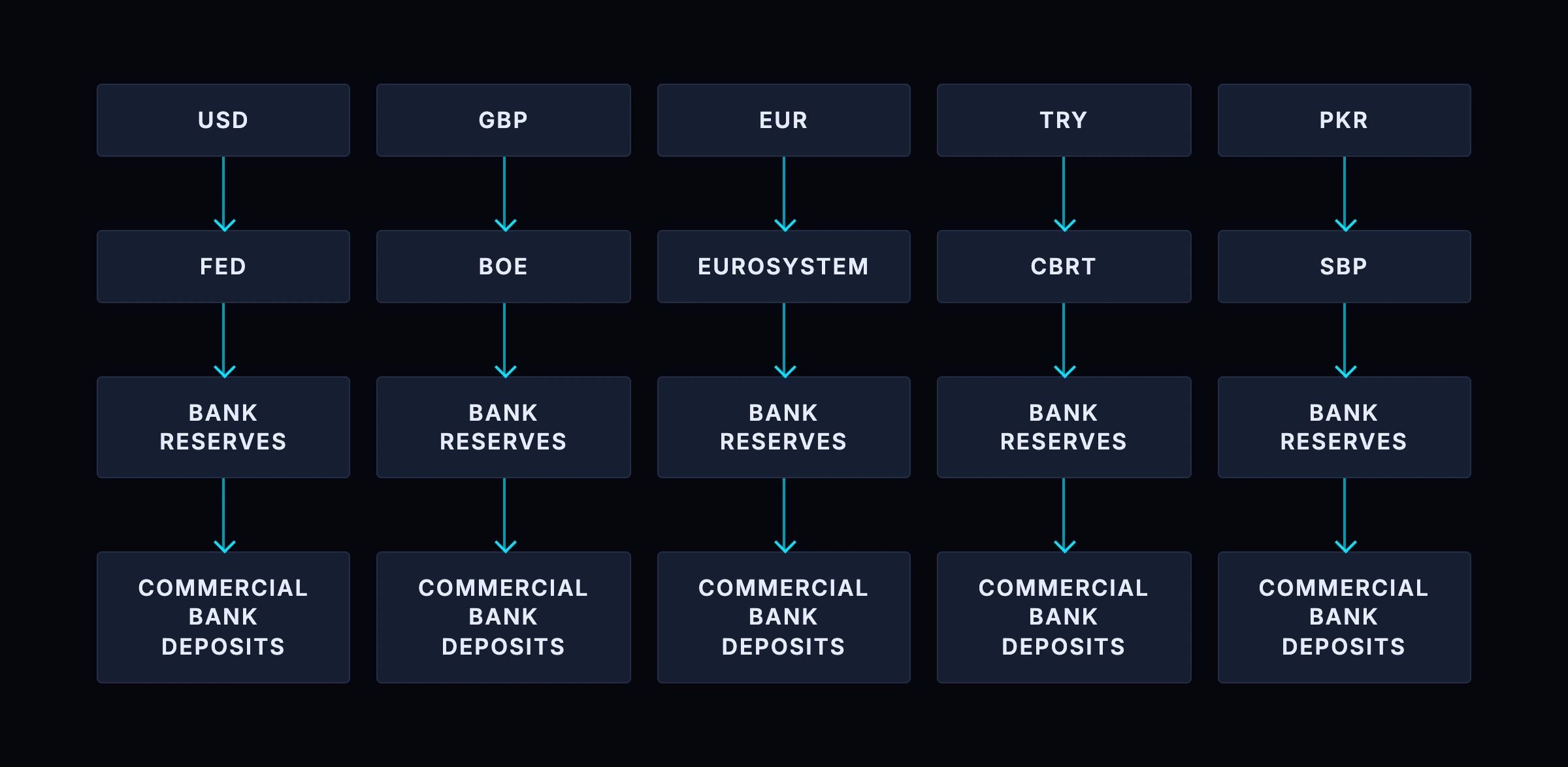 The same two-layer pattern in five currencies: the Fed, Bank of England, Eurosystem, Turkish and Pakistani central banks each supply reserves, and commercial banks create deposit money on top